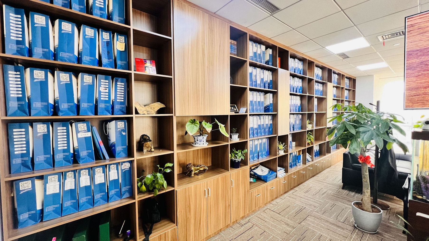 注册流程中代理机构选择标准与自我办理优劣对比